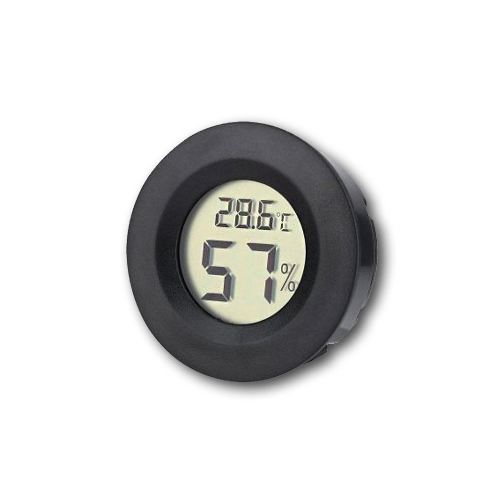 TEMP