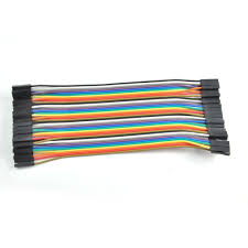 Female to Female 10 Pin Dupont Line 20cm 24AWG